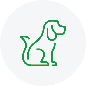 pet-expenses pet-expenses